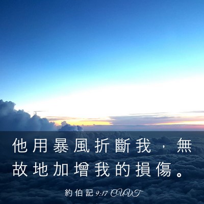 Picture 03 - 約 伯 記 9:17 CUVT - 他 用 暴 風 折 斷 我 ， 無 故 地 加 - Bible Verse Picture