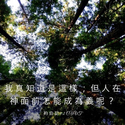 Picture 03 - 約 伯 記 9:2 CUVT - 我 真 知 道 是 這 樣 ； 但 人 在 神 - Bible Verse Picture