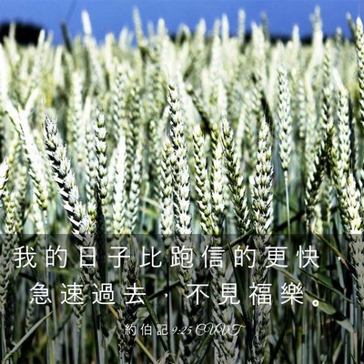 Picture 03 - 約 伯 記 9:25 CUVT - 我 的 日 子 比 跑 信 的 更 快 ， 急 - Bible Verse Picture