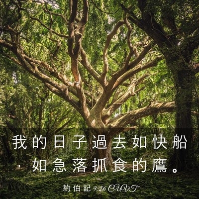 Picture 03 - 約 伯 記 9:26 CUVT - 我 的 日 子 過 去 如 快 船 ， 如 急 - Bible Verse Picture