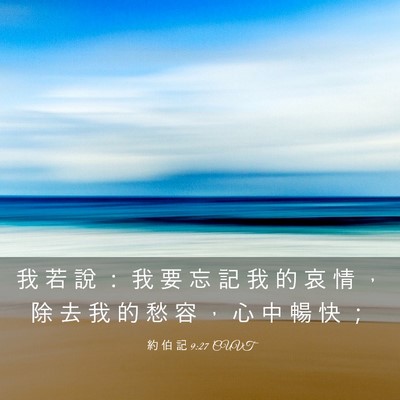 Picture 03 - 約 伯 記 9:27 CUVT - 我 若 說 ： 我 要 忘 記 我 的 哀 情 - Bible Verse Picture