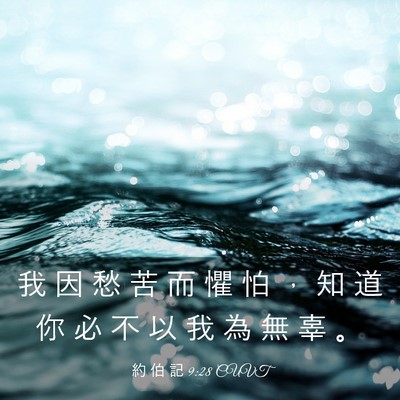 Picture 03 - 約 伯 記 9:28 CUVT - 我 因 愁 苦 而 懼 怕 ， 知 道 你 必 - Bible Verse Picture