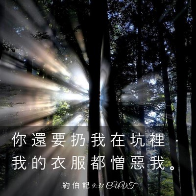 Picture 03 - 約 伯 記 9:31 CUVT - 你 還 要 扔 我 在 坑 裡 ， 我 的 衣 - Bible Verse Picture