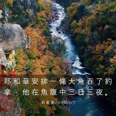 Picture 03 - 約 拿 書 1:17 CUVT - 耶 和 華 安 排 一 條 大 魚 吞 了 約 - Bible Verse Picture