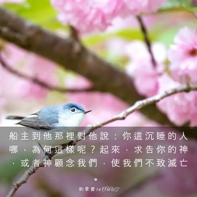 Picture 03 - 約 拿 書 1:6 CUVT - 船 主 到 他 那 裡 對 他 說 ： 你 這 - Bible Verse Picture