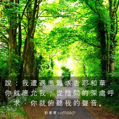 Picture 03 - 約 拿 書 2:2 CUVT - 說 ： 我 遭 遇 患 難 求 告 耶 和 華 - Bible Verse Picture