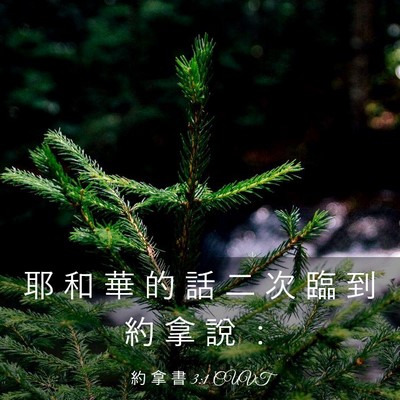 Picture 03 - 約 拿 書 3:1 CUVT - 耶 和 華 的 話 二 次 臨 到 約 拿 說 - Bible Verse Picture