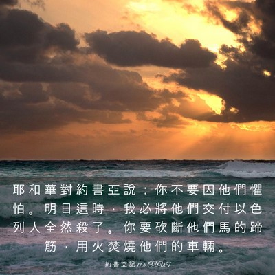 Picture 03 - 約 書 亞 記 11:6 CUVT - 耶 和 華 對 約 書 亞 說 ： 你 不 要 - Bible Verse Picture