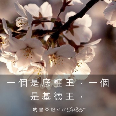 Picture 03 - 約 書 亞 記 12:13 CUVT - 一 個 是 底 璧 王 ， 一 個 是 基 德 - Bible Verse Picture