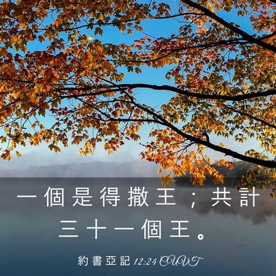 Picture 03 - 約 書 亞 記 12:24 CUVT - 一 個 是 得 撒 王 ； 共 計 三 十 一 - Bible Verse Picture