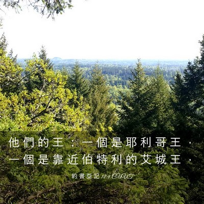 Picture 03 - 約 書 亞 記 12:9 CUVT - 他 們 的 王 ： 一 個 是 耶 利 哥 王 - Bible Verse Picture