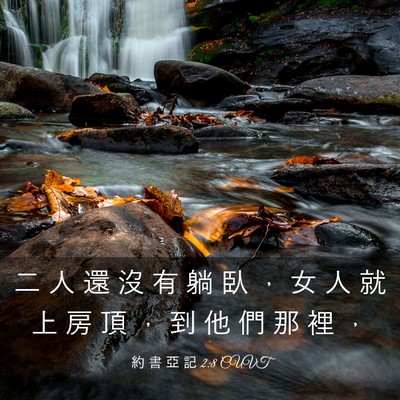 Picture 03 - 約 書 亞 記 2:8 CUVT - 二 人 還 沒 有 躺 臥 ， 女 人 就 上 - Bible Verse Picture