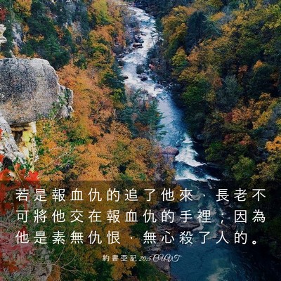 Picture 03 - 約 書 亞 記 20:5 CUVT - 若 是 報 血 仇 的 追 了 他 來 ， 長 - Bible Verse Picture