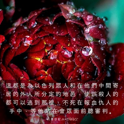 Picture 03 - 約 書 亞 記 20:9 CUVT - 這 都 是 為 以 色 列 眾 人 和 在 他 - Bible Verse Picture