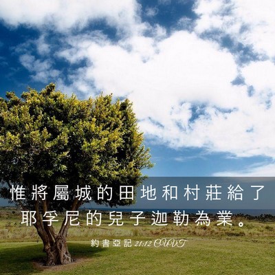 Picture 03 - 約 書 亞 記 21:12 CUVT - 惟 將 屬 城 的 田 地 和 村 莊 給 了 - Bible Verse Picture