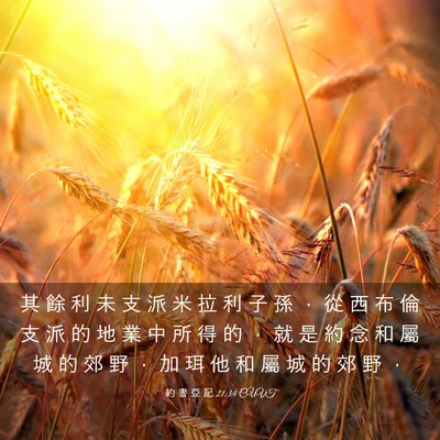 Picture 03 - 約 書 亞 記 21:34 CUVT - 其 餘 利 未 支 派 米 拉 利 子 孫 ， - Bible Verse Picture