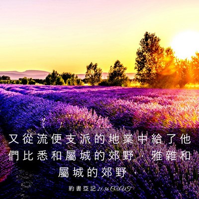 Picture 03 - 約 書 亞 記 21:36 CUVT - 又 從 流 便 支 派 的 地 業 中 給 了 - Bible Verse Picture