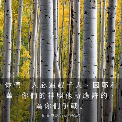 Picture 03 - 約 書 亞 記 23:10 CUVT - 你 們 一 人 必 追 趕 千 人 ， 因 耶 - Bible Verse Picture