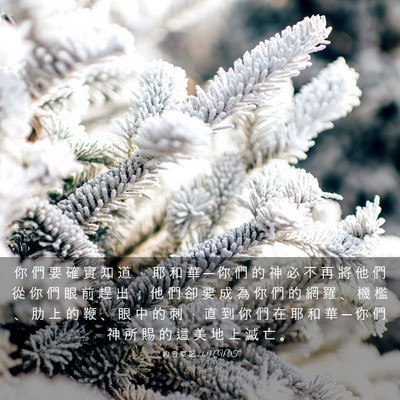 Picture 03 - 約 書 亞 記 23:13 CUVT - 你 們 要 確 實 知 道 ， 耶 和 華 ─ - Bible Verse Picture