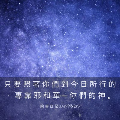 Picture 03 - 約 書 亞 記 23:8 CUVT - 只 要 照 著 你 們 到 今 日 所 行 的 - Bible Verse Picture