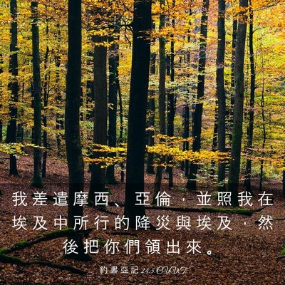 Picture 03 - 約 書 亞 記 24:5 CUVT - 我 差 遣 摩 西 、 亞 倫 ， 並 照 我 - Bible Verse Picture