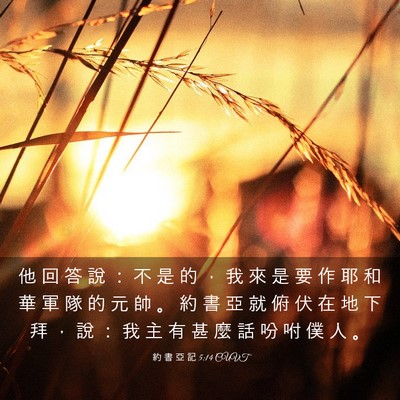 Picture 03 - 約 書 亞 記 5:14 CUVT - 他 回 答 說 ： 不 是 的 ， 我 來 是 - Bible Verse Picture