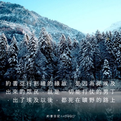 Picture 03 - 約 書 亞 記 5:4 CUVT - 約 書 亞 行 割 禮 的 緣 故 ， 是 因 - Bible Verse Picture