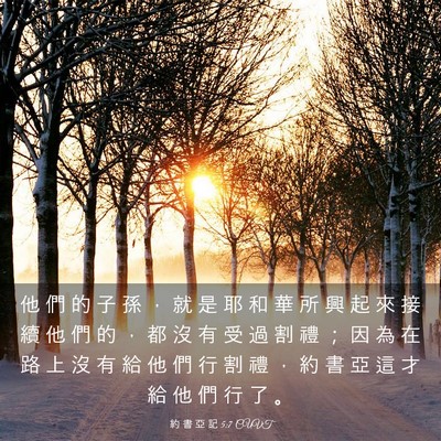 Picture 03 - 約 書 亞 記 5:7 CUVT - 他 們 的 子 孫 ， 就 是 耶 和 華 所 - Bible Verse Picture