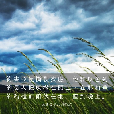 Picture 03 - 約 書 亞 記 7:6 CUVT - 約 書 亞 便 撕 裂 衣 服 ； 他 和 以 - Bible Verse Picture