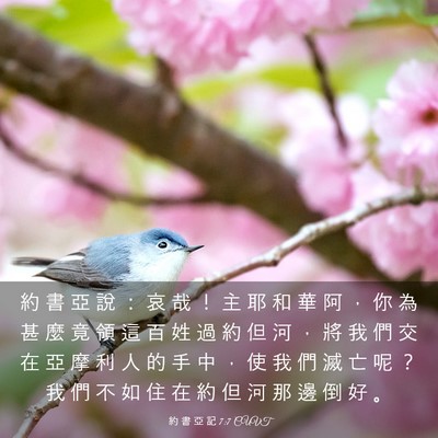 Picture 03 - 約 書 亞 記 7:7 CUVT - 約 書 亞 說 ： 哀 哉 ！ 主 耶 和 華 - Bible Verse Picture