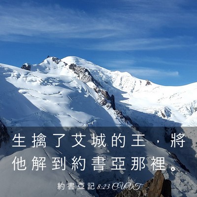 Picture 03 - 約 書 亞 記 8:23 CUVT - 生 擒 了 艾 城 的 王 ， 將 他 解 到 - Bible Verse Picture