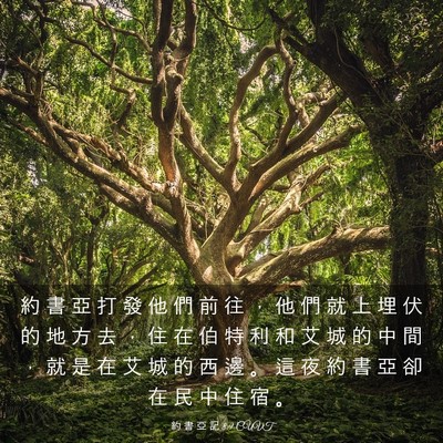 Picture 03 - 約 書 亞 記 8:9 CUVT - 約 書 亞 打 發 他 們 前 往 ， 他 們 - Bible Verse Picture