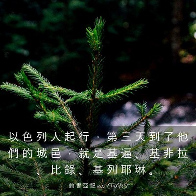 Picture 03 - 約 書 亞 記 9:17 CUVT - 以 色 列 人 起 行 ， 第 三 天 到 了 - Bible Verse Picture