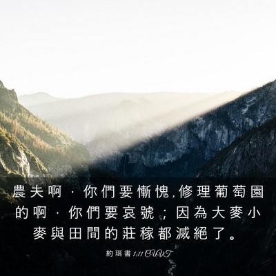Picture 03 - 約 珥 書 1:11 CUVT - 農 夫 啊 ， 你 們 要 慚 愧 , 修 理 葡 - Bible Verse Picture