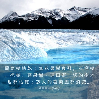 Picture 03 - 約 珥 書 1:12 CUVT - 葡 萄 樹 枯 乾 ； 無 花 果 樹 衰 殘 - Bible Verse Picture