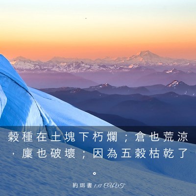 Picture 03 - 約 珥 書 1:17 CUVT - 穀 種 在 土 塊 下 朽 爛 ； 倉 也 荒 - Bible Verse Picture