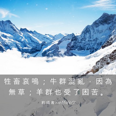 Picture 03 - 約 珥 書 1:18 CUVT - 牲 畜 哀 鳴 ； 牛 群 混 亂 ， 因 為 - Bible Verse Picture