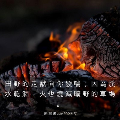 Picture 03 - 約 珥 書 1:20 CUVT - 田 野 的 走 獸 向 你 發 喘 ； 因 為 - Bible Verse Picture