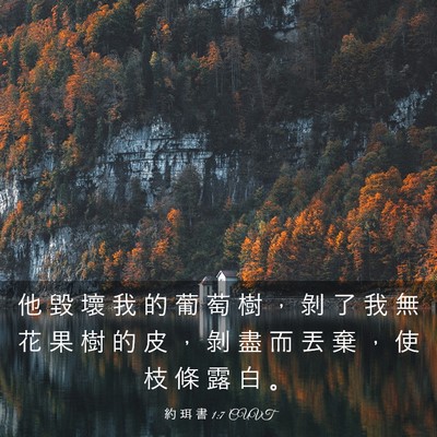 Picture 03 - 約 珥 書 1:7 CUVT - 他 毀 壞 我 的 葡 萄 樹 ， 剝 了 我 - Bible Verse Picture