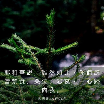 Picture 03 - 約 珥 書 2:12 CUVT - 耶 和 華 說 ： 雖 然 如 此 ， 你 們 - Bible Verse Picture