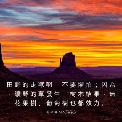Picture 03 - 約 珥 書 2:22 CUVT - 田 野 的 走 獸 啊 ， 不 要 懼 怕 ； - Bible Verse Picture