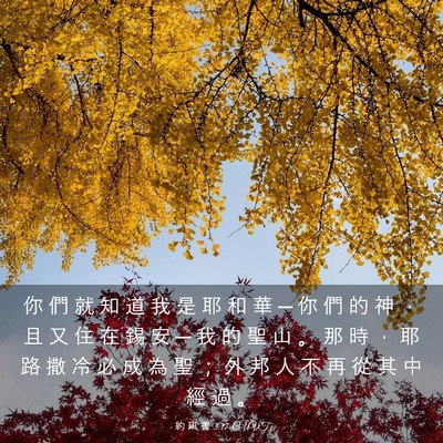 Picture 03 - 約 珥 書 3:17 CUVT - 你 們 就 知 道 我 是 耶 和 華 ─ 你 - Bible Verse Picture