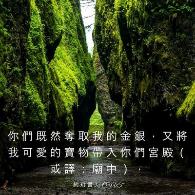 Picture 03 - 約 珥 書 3:5 CUVT - 你 們 既 然 奪 取 我 的 金 銀 ， 又 - Bible Verse Picture