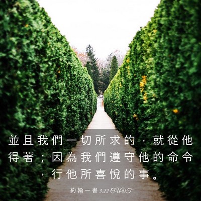 Picture 03 - 約 翰 一 書 3:22 CUVT - 並 且 我 們 一 切 所 求 的 ， 就 從 - Bible Verse Picture