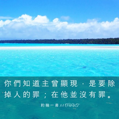 Picture 03 - 約 翰 一 書 3:5 CUVT - 你 們 知 道 主 曾 顯 現 ， 是 要 除 - Bible Verse Picture