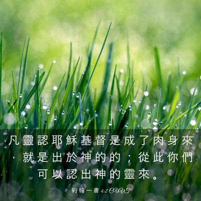 Picture 03 - 約 翰 一 書 4:2 CUVT - 凡 靈 認 耶 穌 基 督 是 成 了 肉 身 - Bible Verse Picture