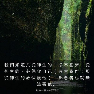 Picture 03 - 約 翰 一 書 5:18 CUVT - 我 們 知 道 凡 從 神 生 的 ， 必 不 - Bible Verse Picture