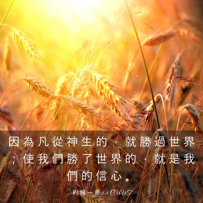 Picture 03 - 約 翰 一 書 5:4 CUVT - 因 為 凡 從 神 生 的 ， 就 勝 過 世 - Bible Verse Picture