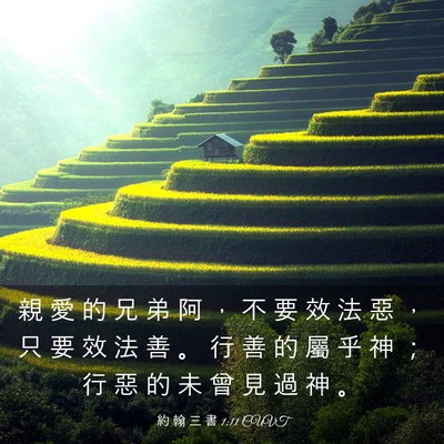 Picture 03 - 約 翰 三 書 1:11 CUVT - 親 愛 的 兄 弟 阿 ， 不 要 效 法 惡 - Bible Verse Picture