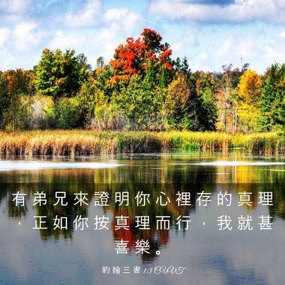 Picture 03 - 約 翰 三 書 1:3 CUVT - 有 弟 兄 來 證 明 你 心 裡 存 的 真 - Bible Verse Picture